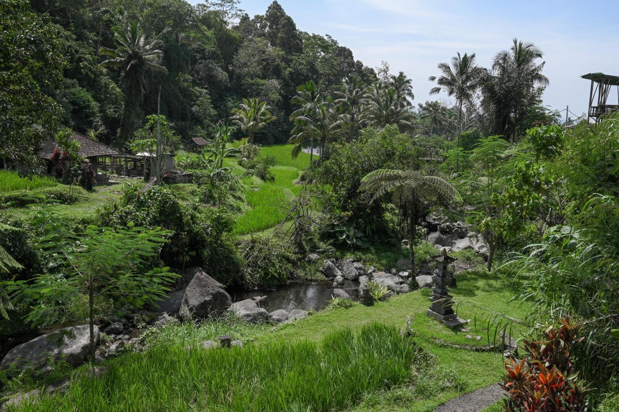 Keuma Villa & Resto Jatiluwih By The Lavana Exterior photo