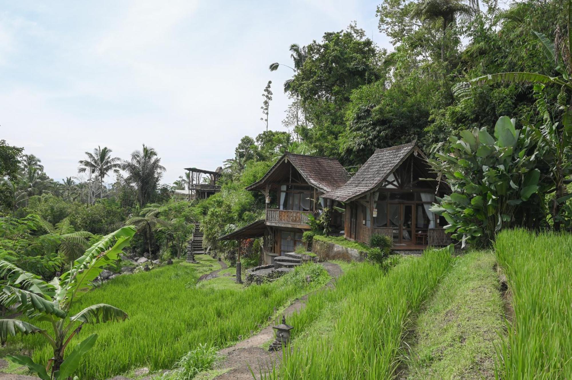 Keuma Villa & Resto Jatiluwih By The Lavana Exterior photo